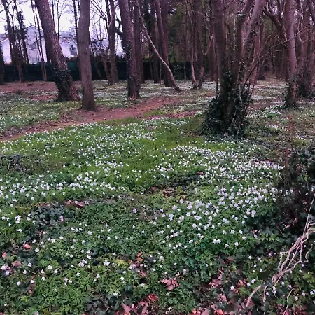 Lägenhetshotell Sea Power Horyzont 9 Jastrzębia Góra