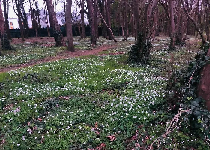 شقة فندقية Sea Power Horyzont 9 Jastrzębia Góra