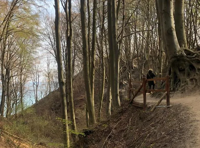 Sea Power Horyzont 9 *